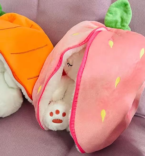 Stuffed rabbit with music